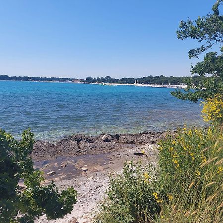 Apartment Jovanka Μεντουλίν Εξωτερικό φωτογραφία